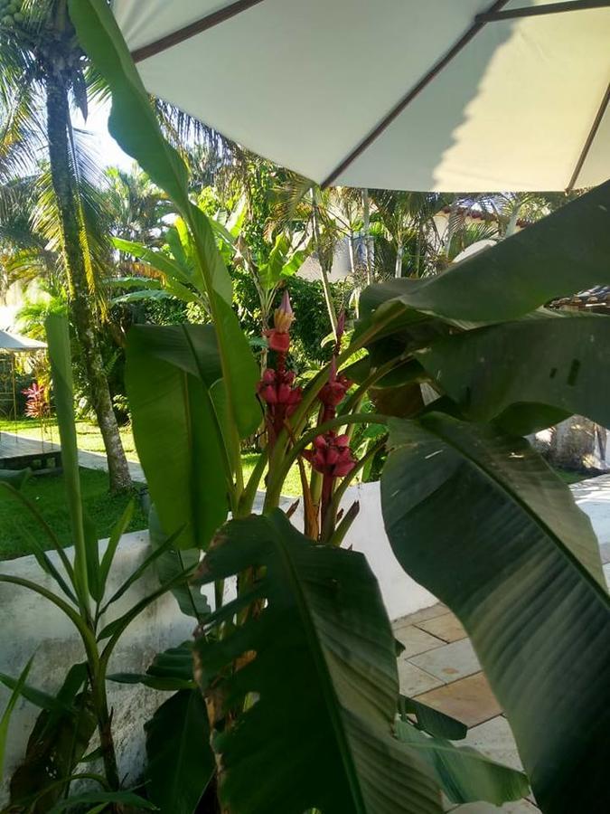 Do Tesouro 3* Paraty
