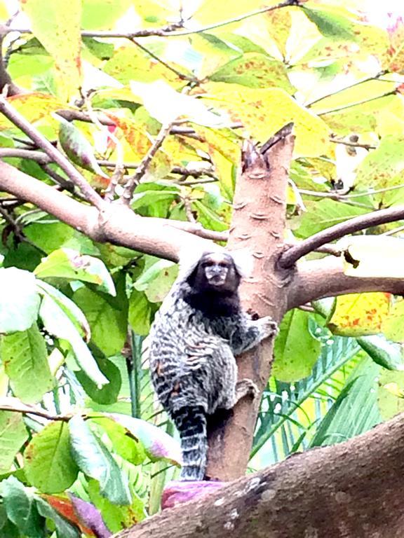 賓館 Do Tesouro Paraty